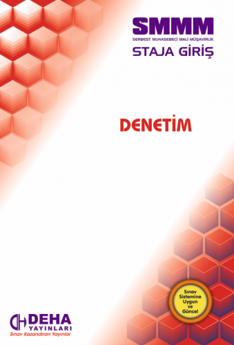 SMMM STAJA GİRİŞ - DENETİM